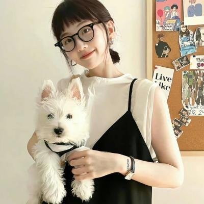 使徒行者3粤语